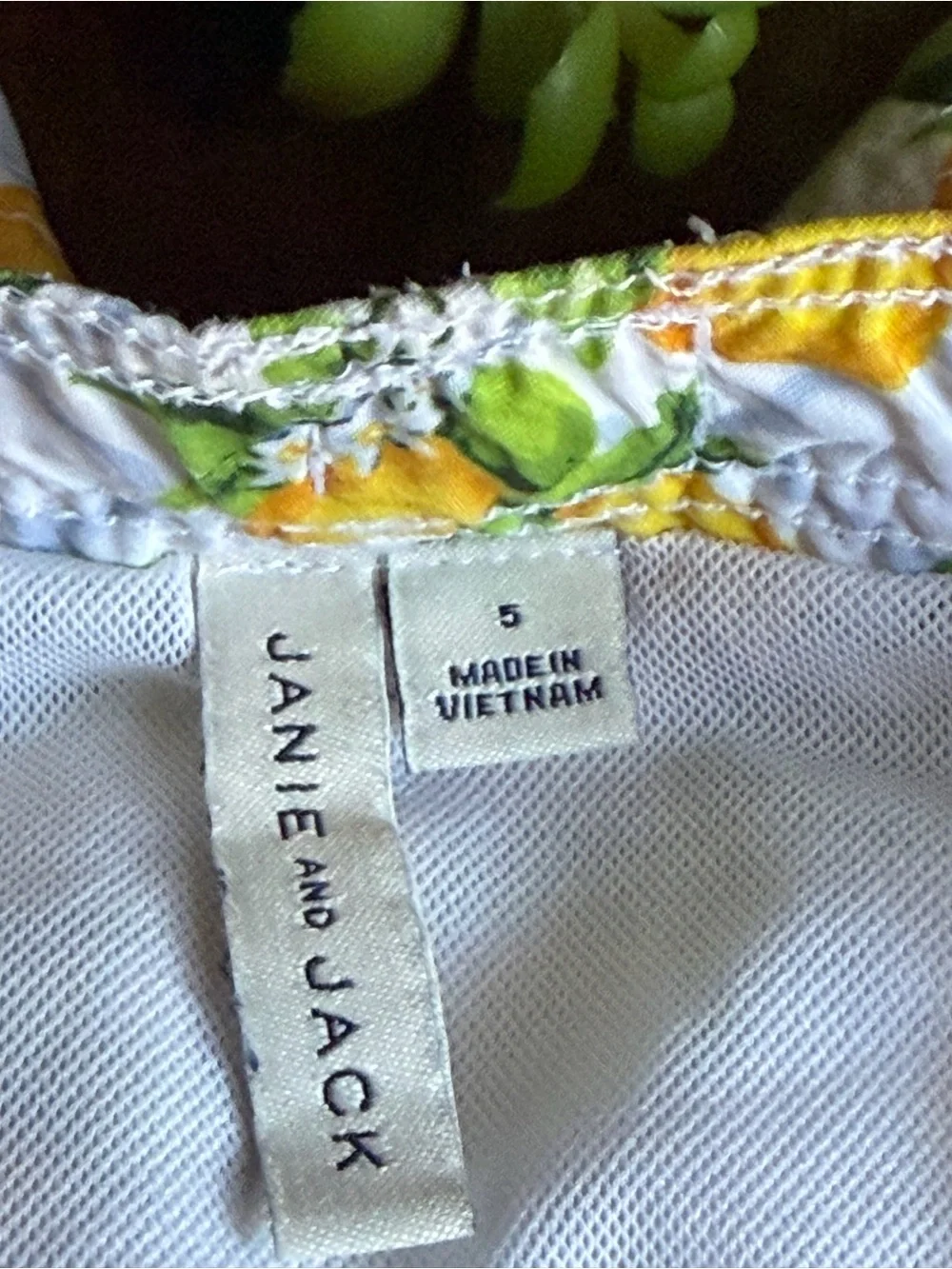 Janie And Jack Lemon Print Swim Trunks Short Size 5
